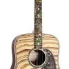 Hot D-300 New Models|Custom & Special Editions