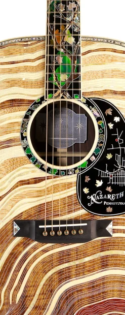 Hot D-300 New Models|Custom & Special Editions