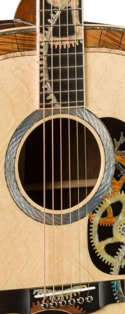 Hot D-200 Deluxe Custom & Special Editions|D - Dreadnought